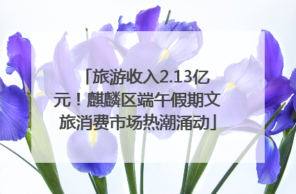 旅游收入2.13亿元！麒麟区端午假期文旅消费市场热潮涌动
