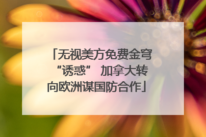 无视美方免费金穹“诱惑” 加拿大转向欧洲谋国防合作