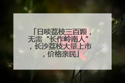 日啖荔枝三百颗，无需“长作岭南人”，长沙荔枝大量上市，价格亲民