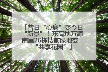 昔日“心病”变今日“新景”！东高地万源南里26栋楼前绿地变“共享花园”