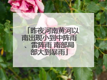 昨夜河南黄河以南出现小到中阵雨、雷阵雨 南部局部大到暴雨