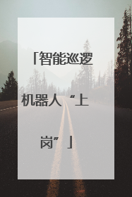智能巡逻机器人“上岗”