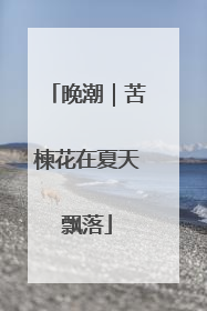 晚潮｜苦楝花在夏天飘落