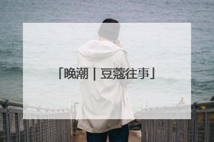 晚潮｜豆蔻往事