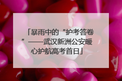 暴雨中的“护考答卷”——武汉新洲公安暖心护航高考首日