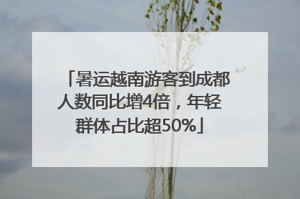 暑运越南游客到成都人数同比增4倍，年轻群体占比超50%