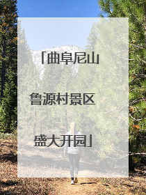 曲阜尼山鲁源村景区盛大开园