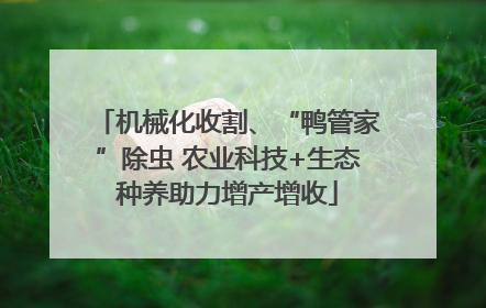 机械化收割、“鸭管家”除虫 农业科技+生态种养助力增产增收