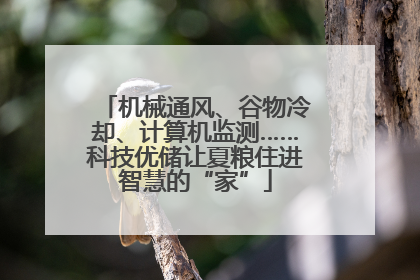机械通风、谷物冷却、计算机监测……科技优储让夏粮住进智慧的“家”