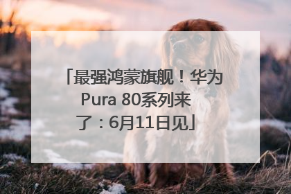 最强鸿蒙旗舰！华为Pura 80系列来了：6月11日见