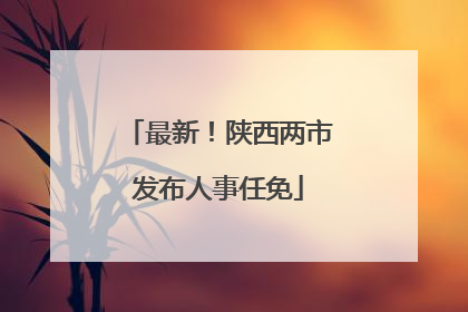 最新！陕西两市发布人事任免