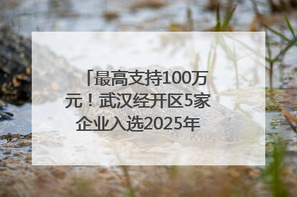 最高支持100万元！武汉经开区5家企业入选2025年度武汉市重点研发计划拟立项项目名单