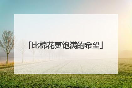 比棉花更饱满的希望