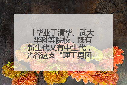 毕业于清华、武大、华科等院校，既有新生代又有中生代，光谷这支“理工男团”为何“出道”？