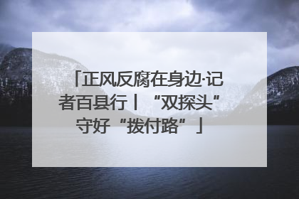 正风反腐在身边·记者百县行丨“双探头”守好“拨付路”