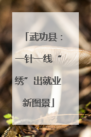 武功县：一针一线“绣”出就业新图景