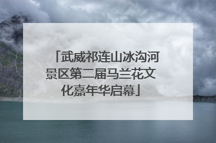 武威祁连山冰沟河景区第二届马兰花文化嘉年华启幕