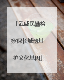 武威民勤检察保长城遗址护文化基因