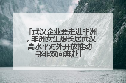 武汉企业要走进非洲,非洲女生想长居武汉 高水平对外开放推动鄂非双向奔赴
