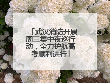 武汉消防开展周三集中夜巡行动，全力护航高考顺利进行
