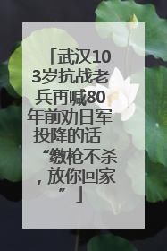 武汉103岁抗战老兵再喊80年前劝日军投降的话 “缴枪不杀，放你回家”
