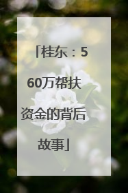 桂东：560万帮扶资金的背后故事