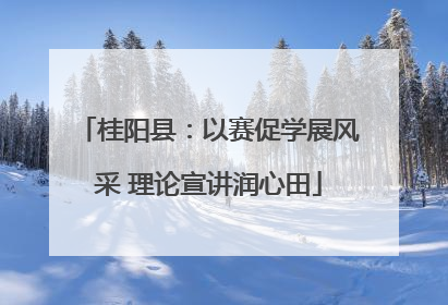 桂阳县：以赛促学展风采 理论宣讲润心田