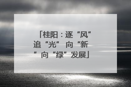 桂阳：逐“风”追“光” 向“新”向“绿”发展