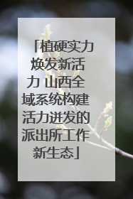 植硬实力 焕发新活力 山西全域系统构建活力迸发的派出所工作新生态