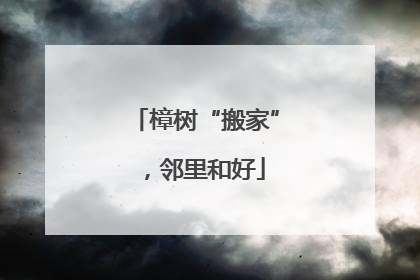 樟树“搬家”，邻里和好