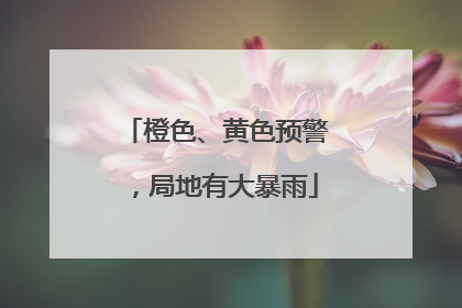 橙色、黄色预警，局地有大暴雨