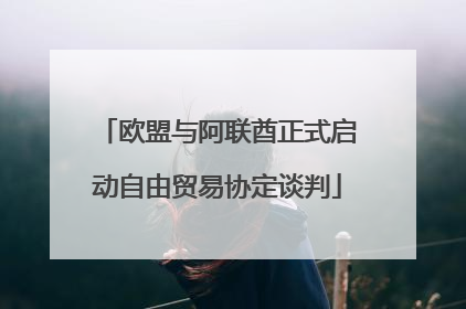 欧盟与阿联酋正式启动自由贸易协定谈判