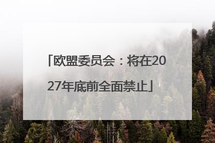 欧盟委员会：将在2027年底前全面禁止