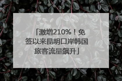 激增210%！免签以来昆明口岸韩国旅客流量飙升