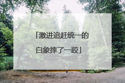 激进追赶统一的白象摔了一跤