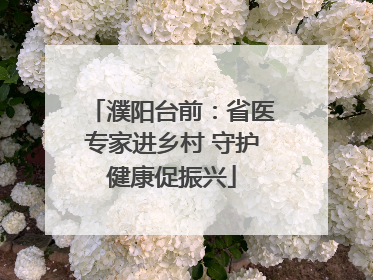 濮阳台前：省医专家进乡村 守护健康促振兴