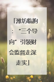 潍坊临朐：“三个导向”引领财会监督走深走实