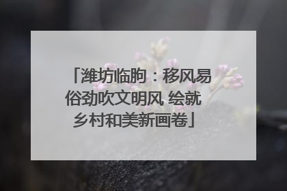 潍坊临朐：移风易俗劲吹文明风 绘就乡村和美新画卷