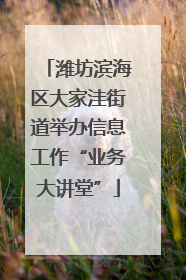 潍坊滨海区大家洼街道举办信息工作“业务大讲堂”