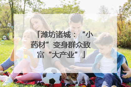 潍坊诸城：“小药材”变身群众致富“大产业”