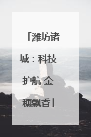 潍坊诸城：科技护航 金穗飘香