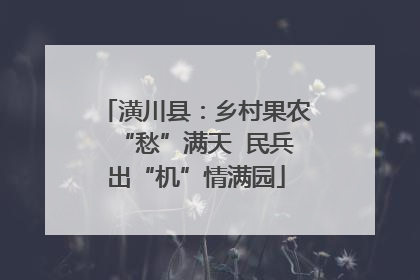 潢川县：乡村果农“愁”满天  民兵出“机”情满园