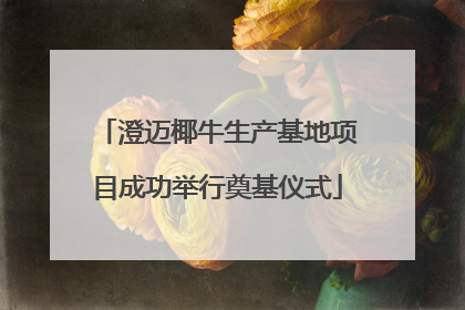 澄迈椰牛生产基地项目成功举行奠基仪式