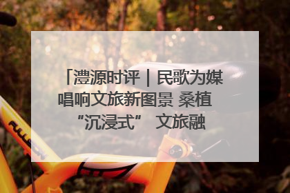 澧源时评｜民歌为媒唱响文旅新图景 桑植 “沉浸式” 文旅融合的破圈启示