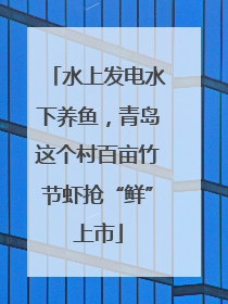 水上发电水下养鱼，青岛这个村百亩竹节虾抢“鲜”上市