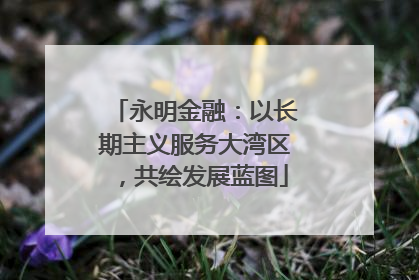永明金融：以长期主义服务大湾区，共绘发展蓝图