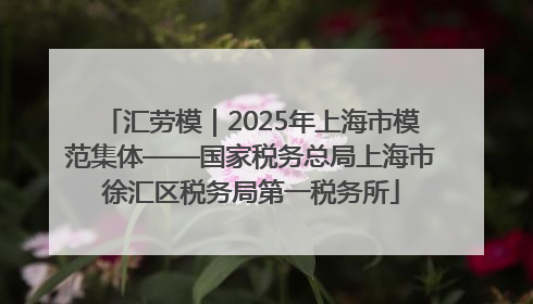 汇劳模｜2025年上海市模范集体——国家税务总局上海市徐汇区税务局第一税务所