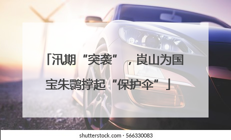 汛期“突袭”，崀山为国宝朱鹮撑起“保护伞”