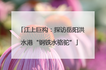 江上巨构：探访岳阳洪水港“钢铁水骆驼”