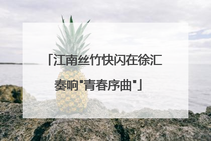 江南丝竹快闪在徐汇奏响